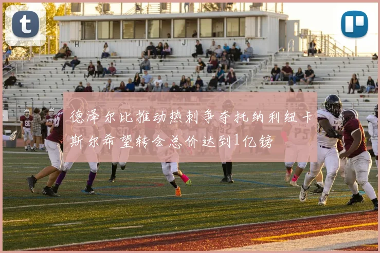 德泽尔比推动热刺争夺托纳利纽卡斯尔希望转会总价达到1亿镑