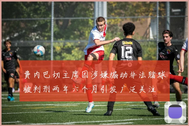 费内巴切主席因涉嫌煽动非法赌球被判刑两年六个月引发广泛关注